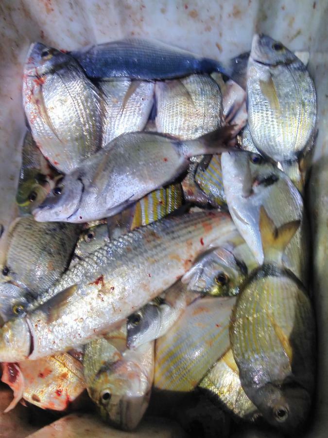 B&B Dal Pescatore Fazana Bagian luar foto